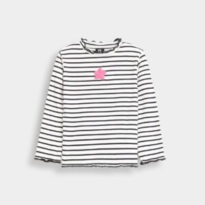 Embroidered Striped T-Shirt