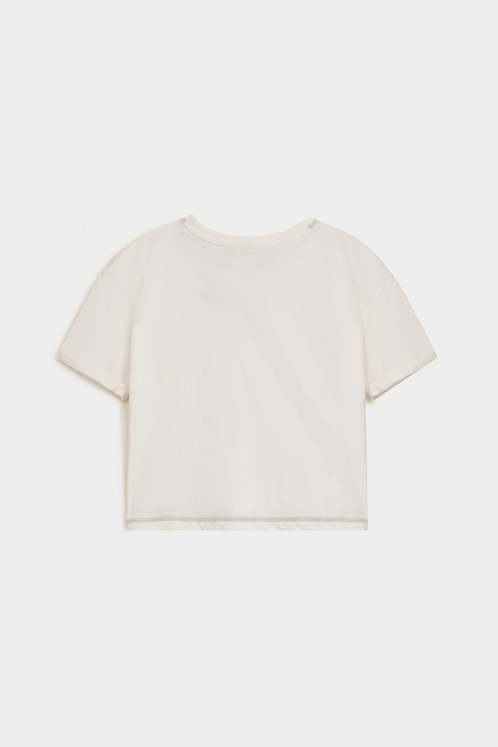 Cropped Crew Neck T-Shirt - Image 3