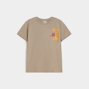 Embroidered Graphic T-Shirt
