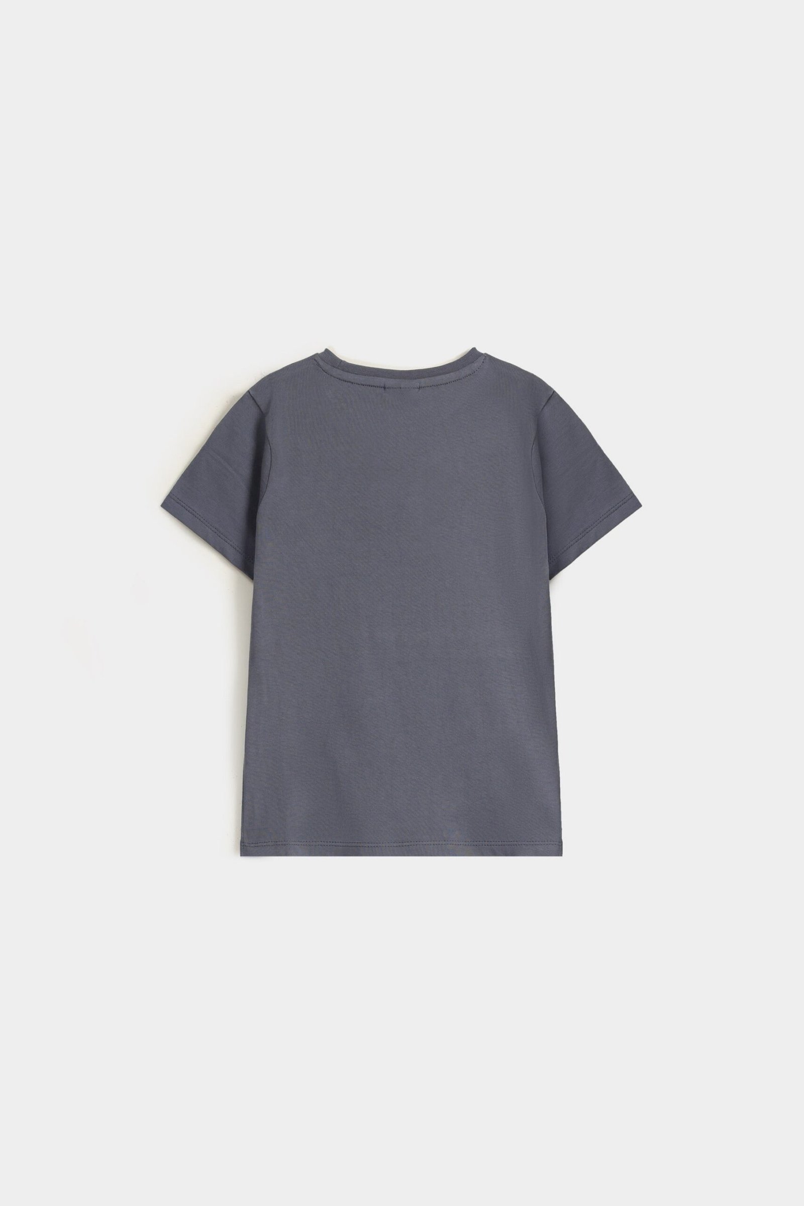 Embroidered Graphic T-Shirt - Image 9