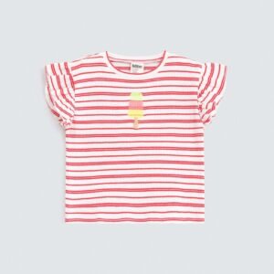 Embroidered Striped T-Shirt