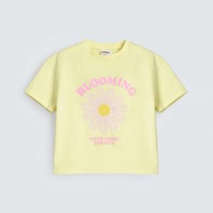 Cropped Embroidered T-Shirt