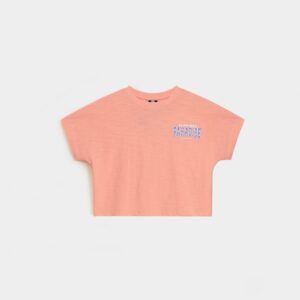Cropped Kimono Sleeve T-Shirt