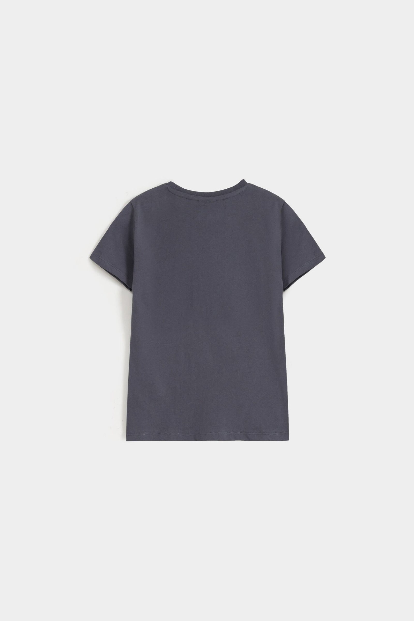 Crew-Neck Graphic T-Shirt - Image 3