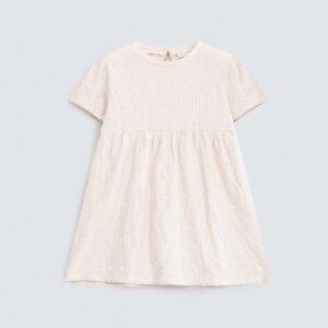 Embroidered Textured Dress