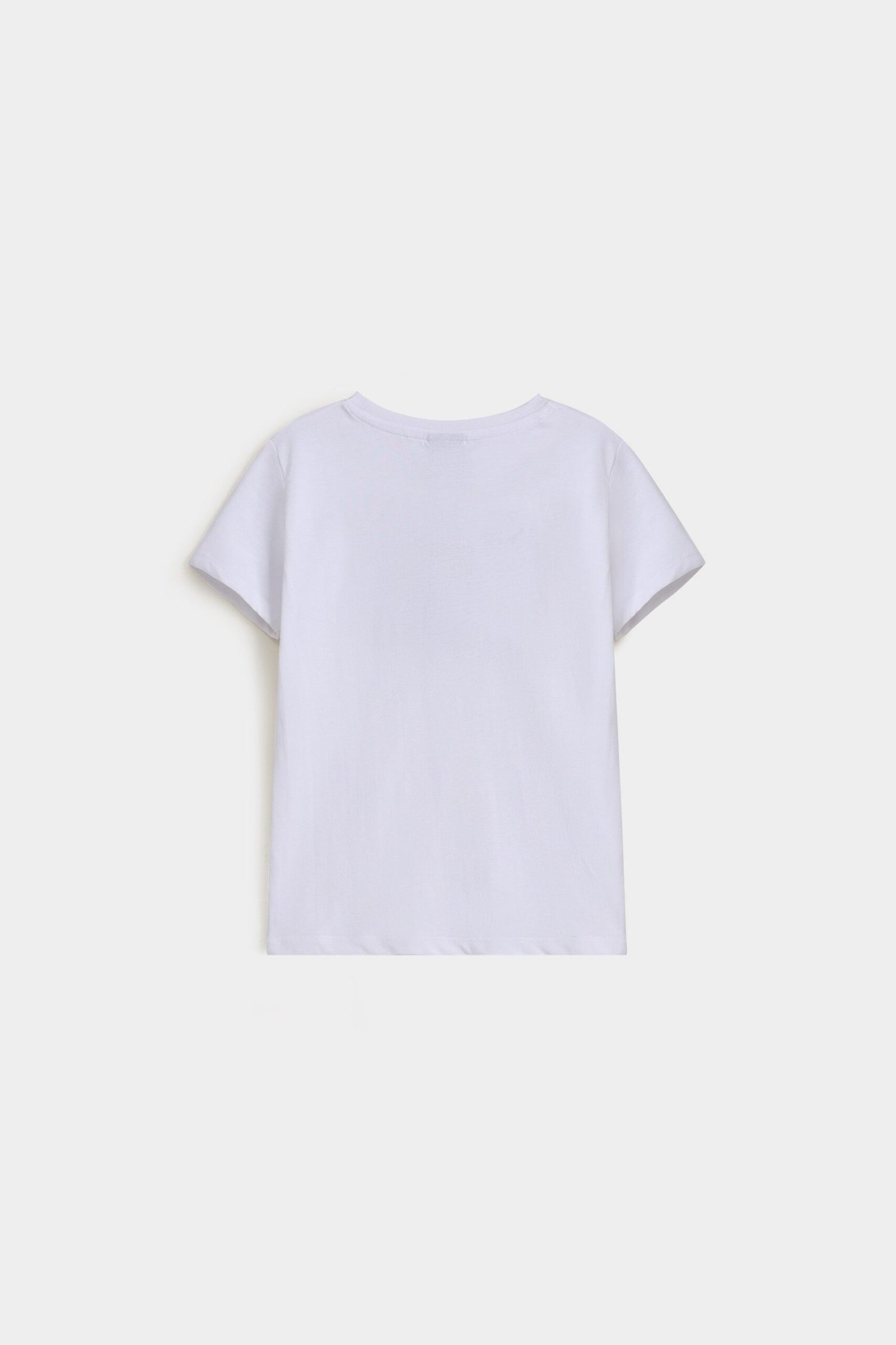 Graphic T-Shirt - Image 3