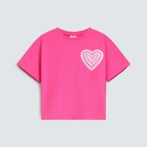 Cropped Embroidered Boxy T-Shirt