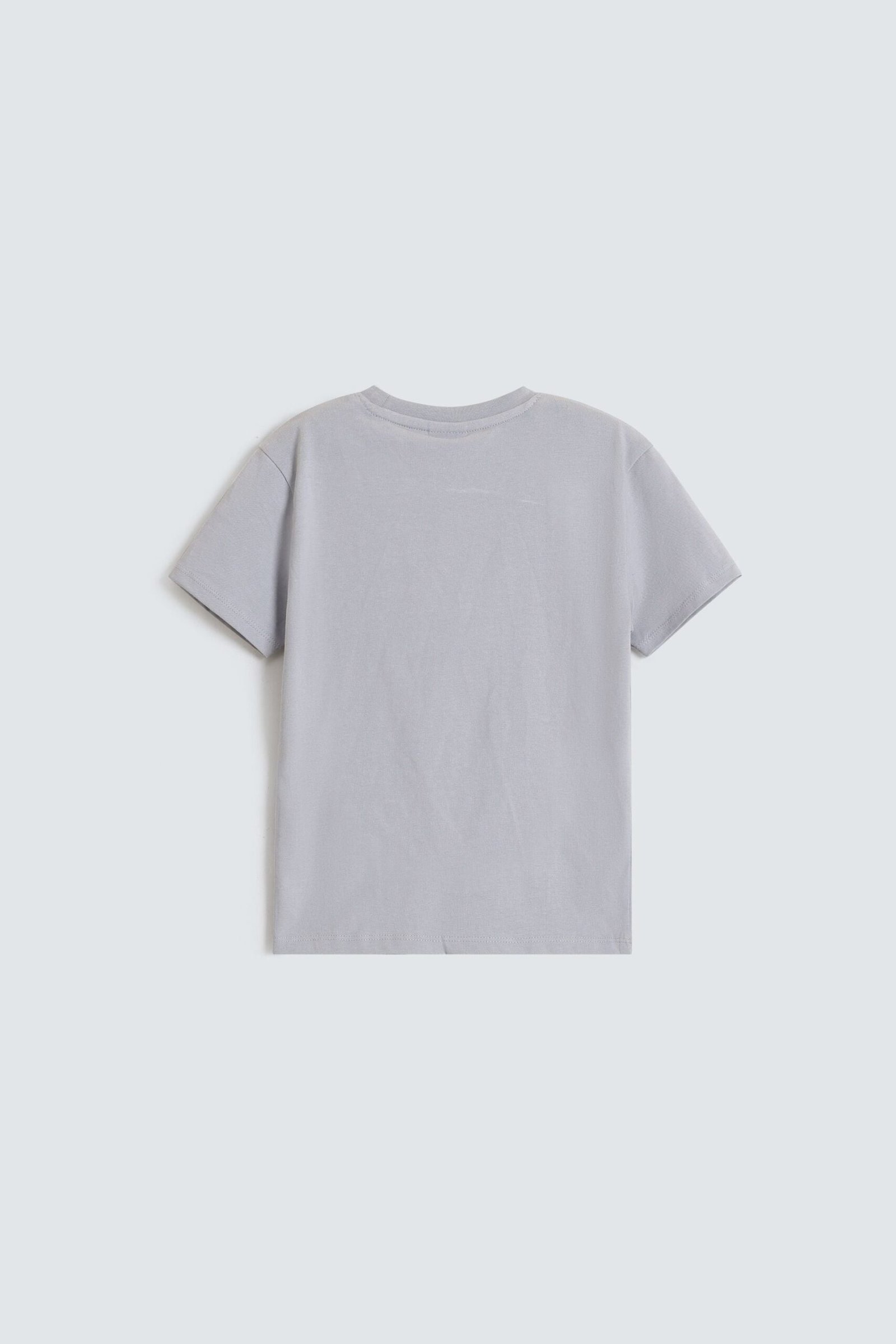 Graphic T-Shirt - Image 3
