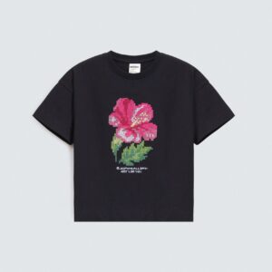 Cropped Embroidered T-Shirt