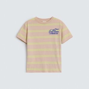 Striped Graphic T-Shirt