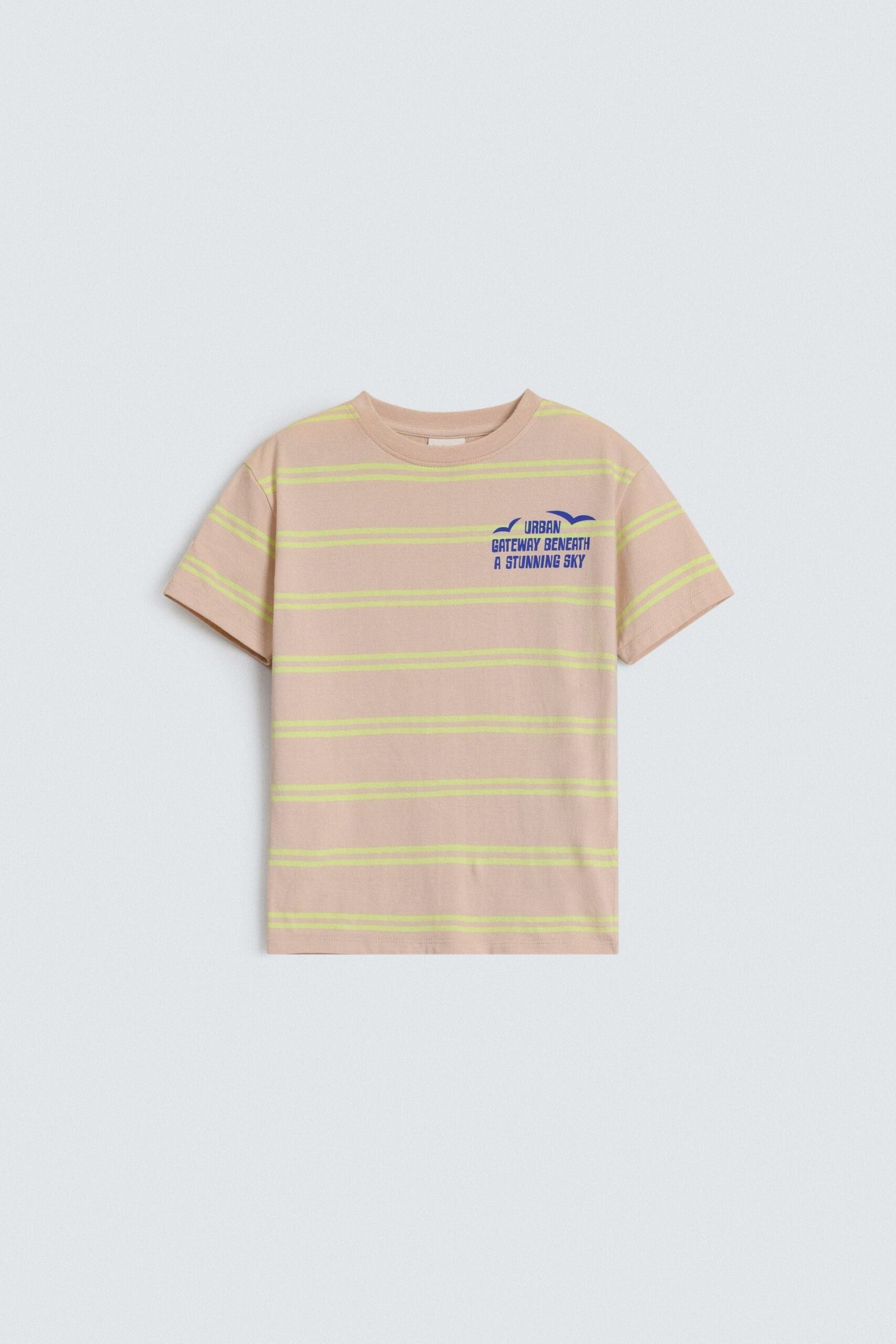 Striped Graphic T-Shirt