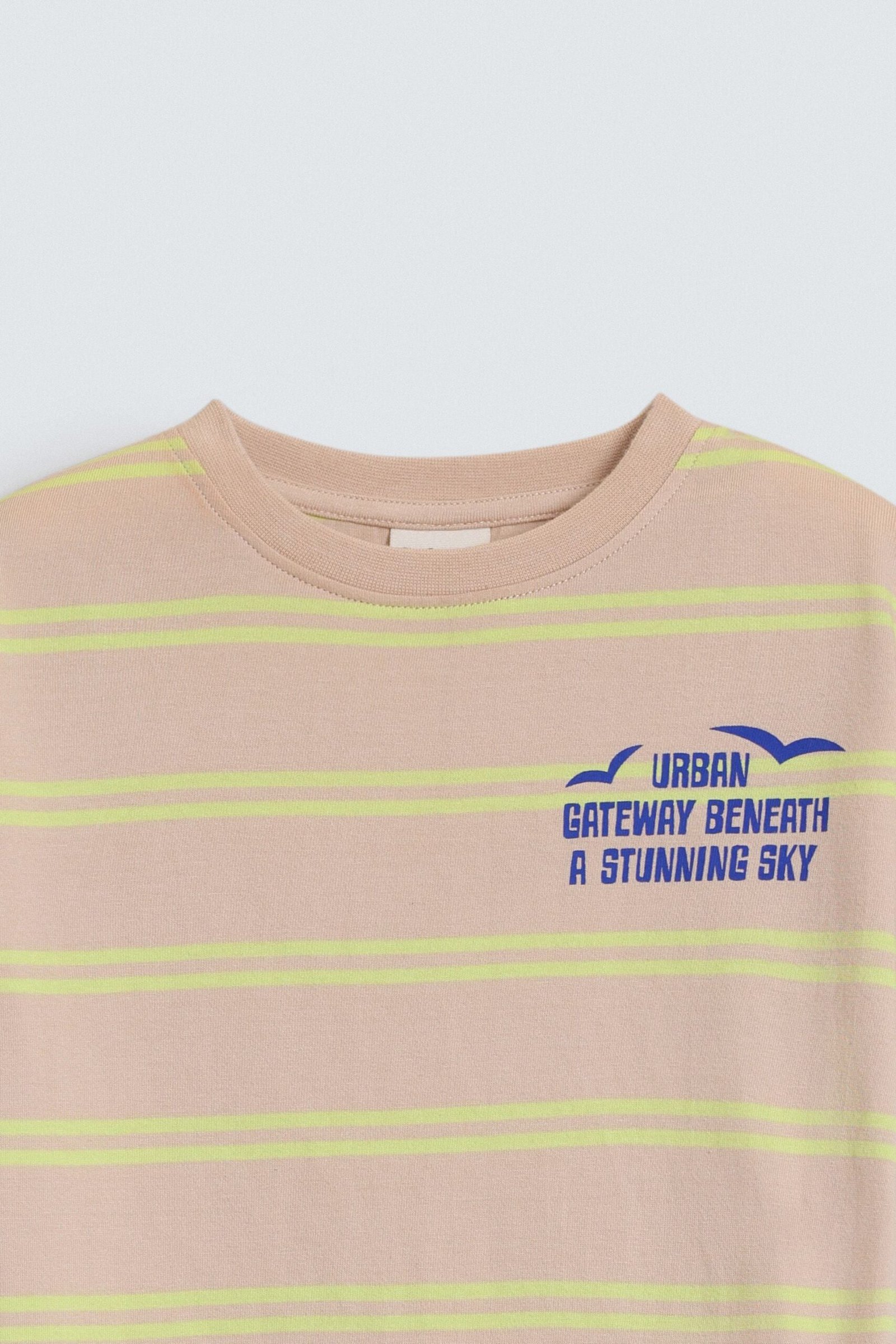 Striped Graphic T-Shirt - Image 2