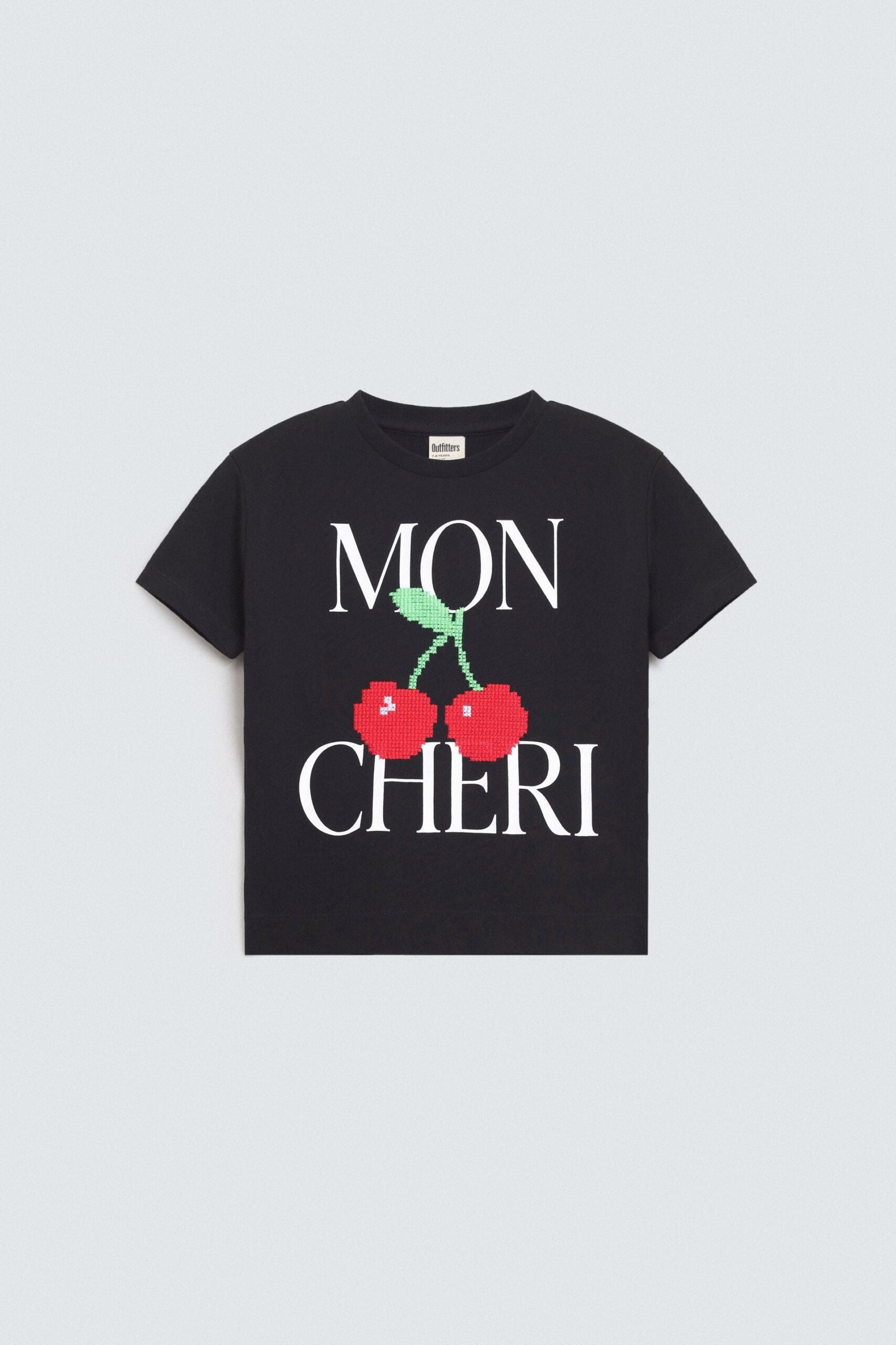 Cropped Embroidered T-Shirt