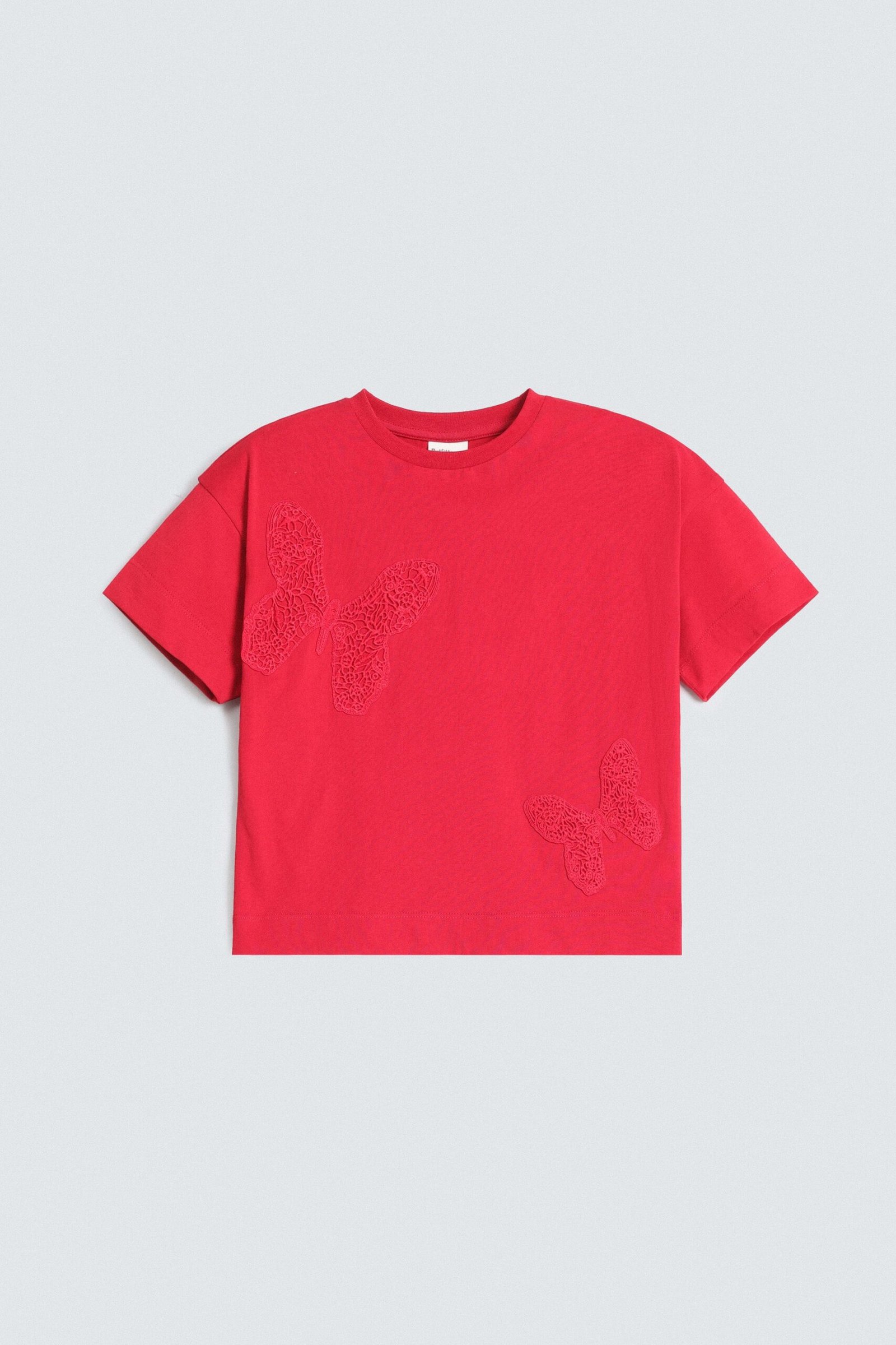 Cropped Embroidered T-Shirt