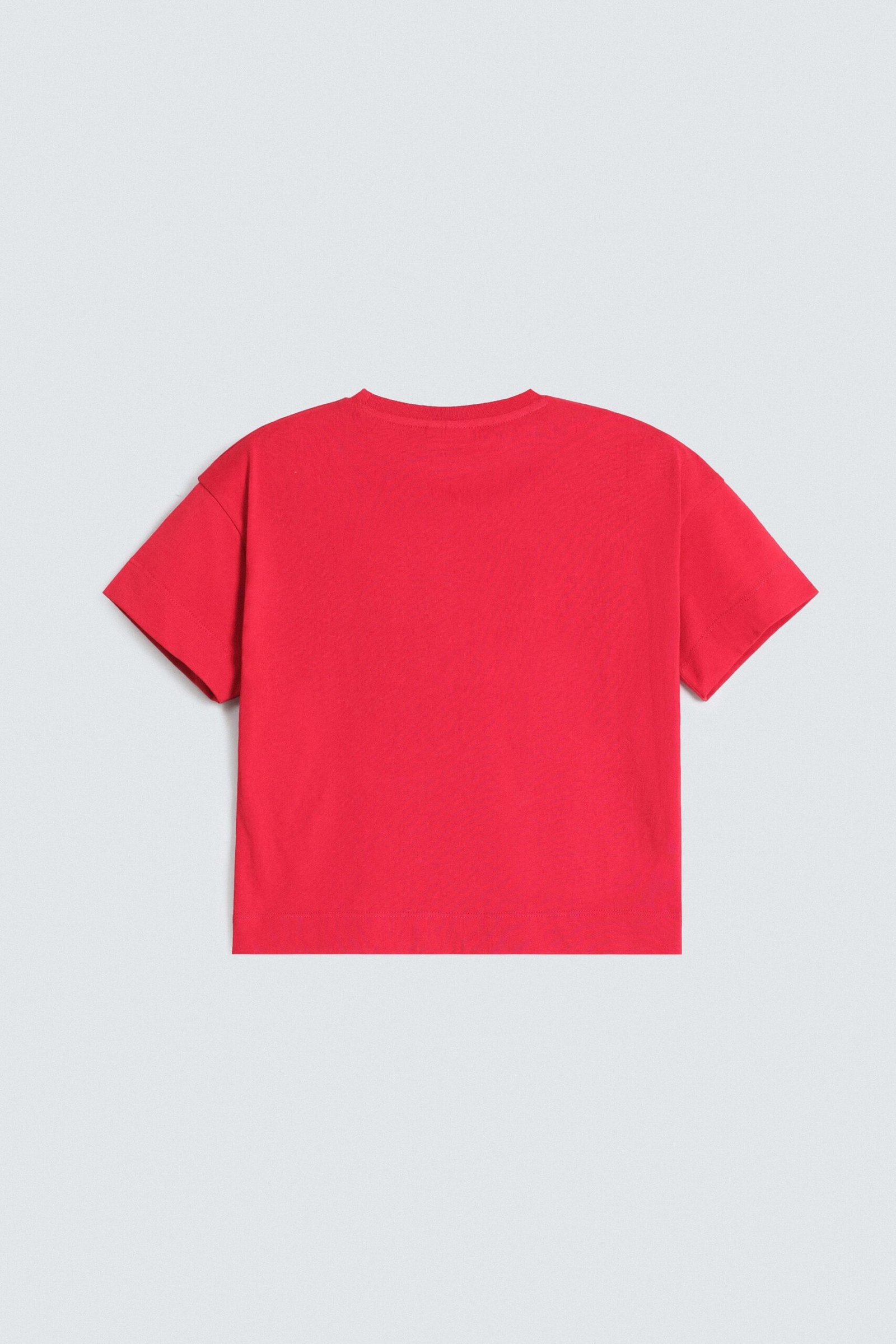 Cropped Embroidered T-Shirt - Image 3