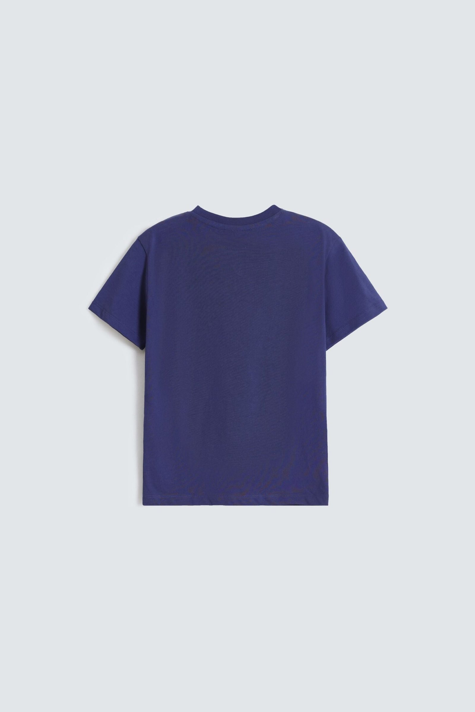 Graphic T-Shirt - Image 3