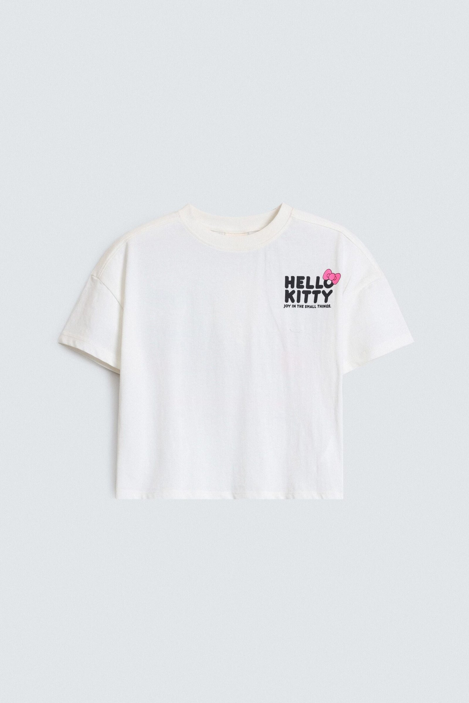 Cropped Character Graphic T-Shirt