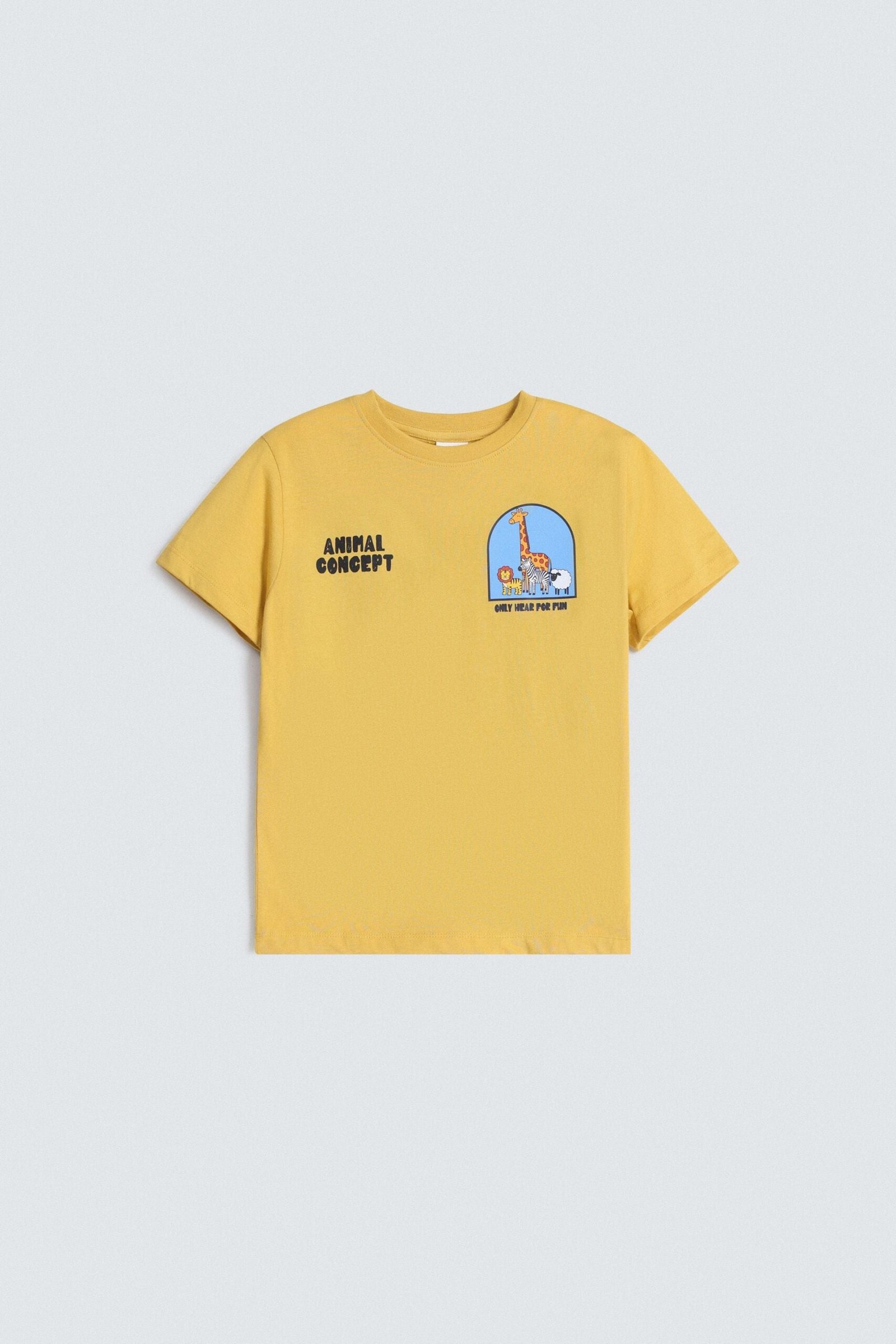 Graphic T-Shirt