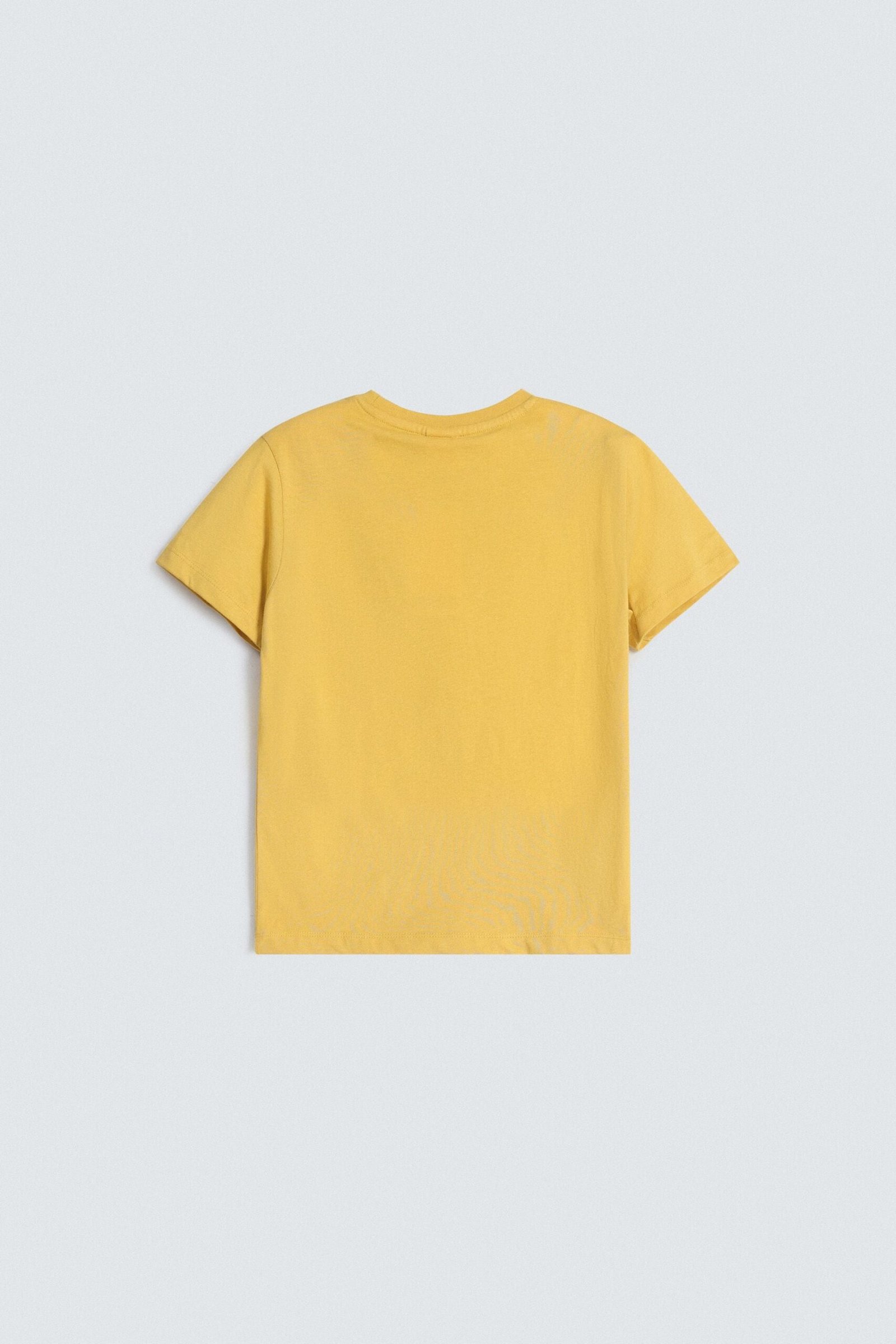 Graphic T-Shirt - Image 3