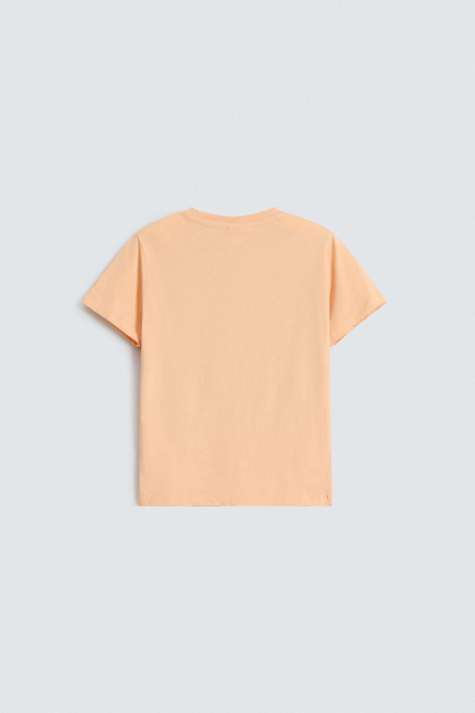 Graphic T-Shirt - Image 3