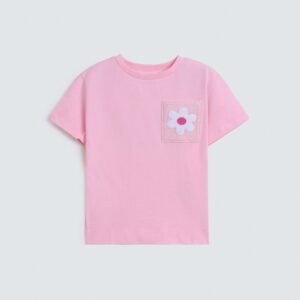 Cropped Embroidered T-Shirt