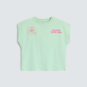 Cropped Embroidered T-Shirt