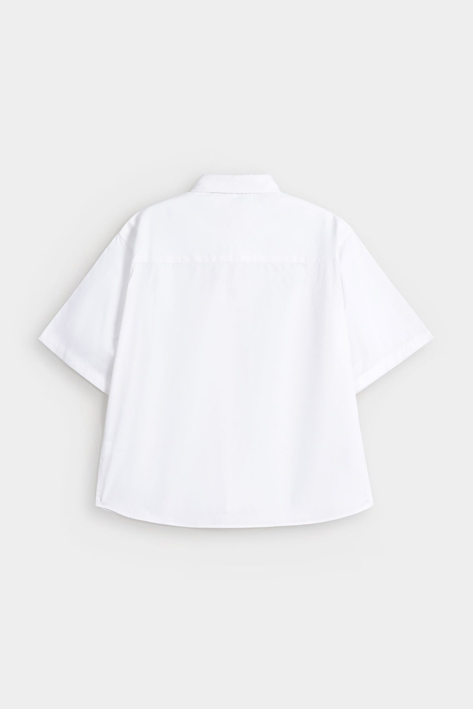 Basic Shirt - Image 3