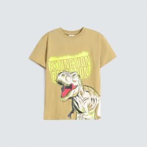 Graphic T-Shirt