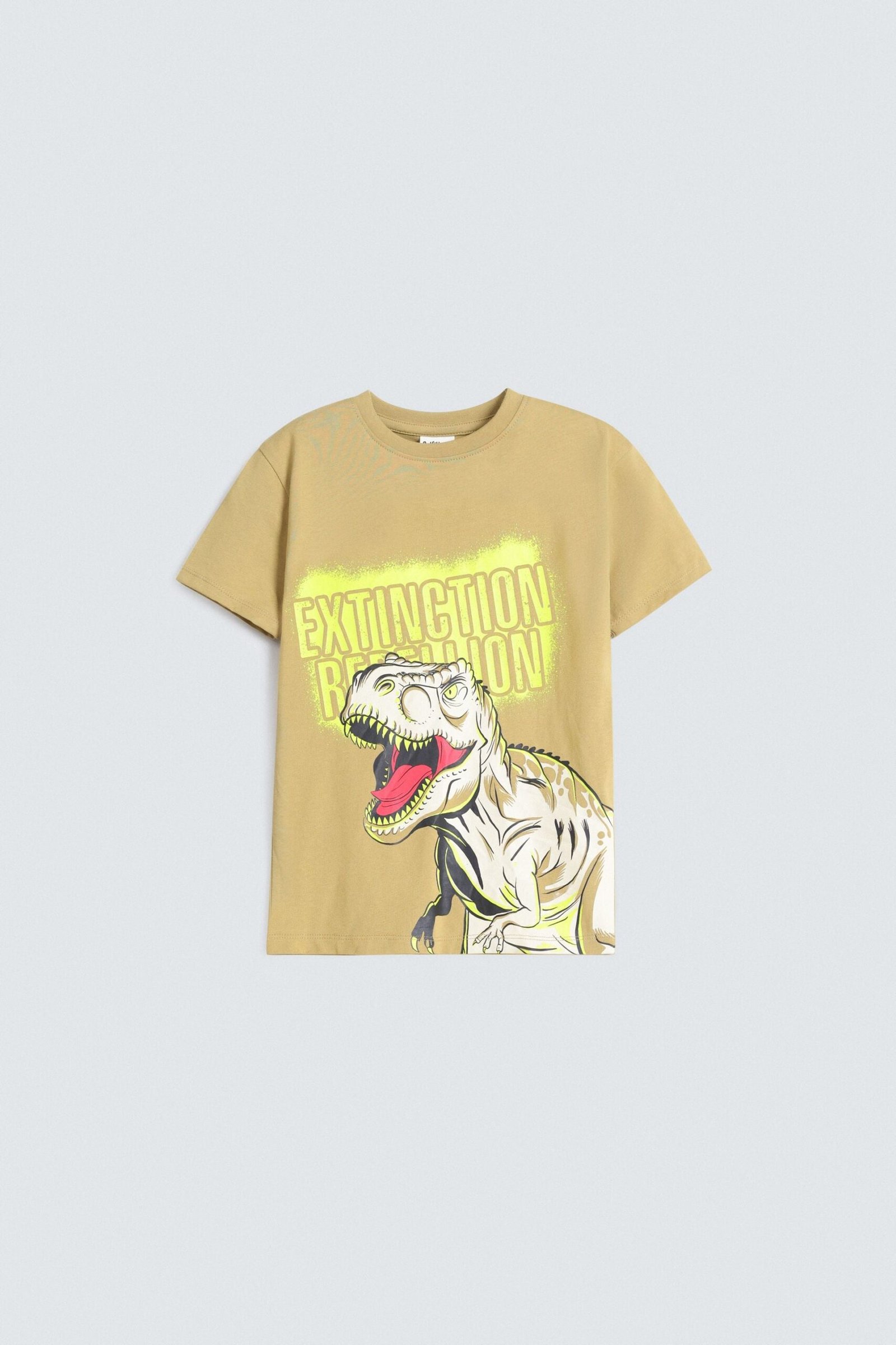 Graphic T-Shirt