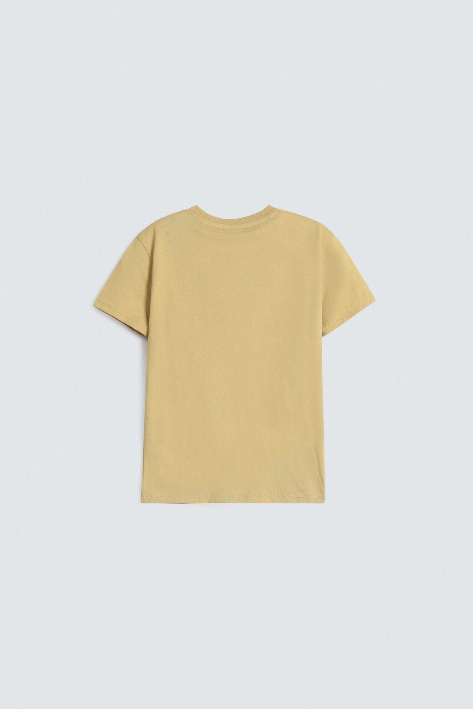 Graphic T-Shirt - Image 3