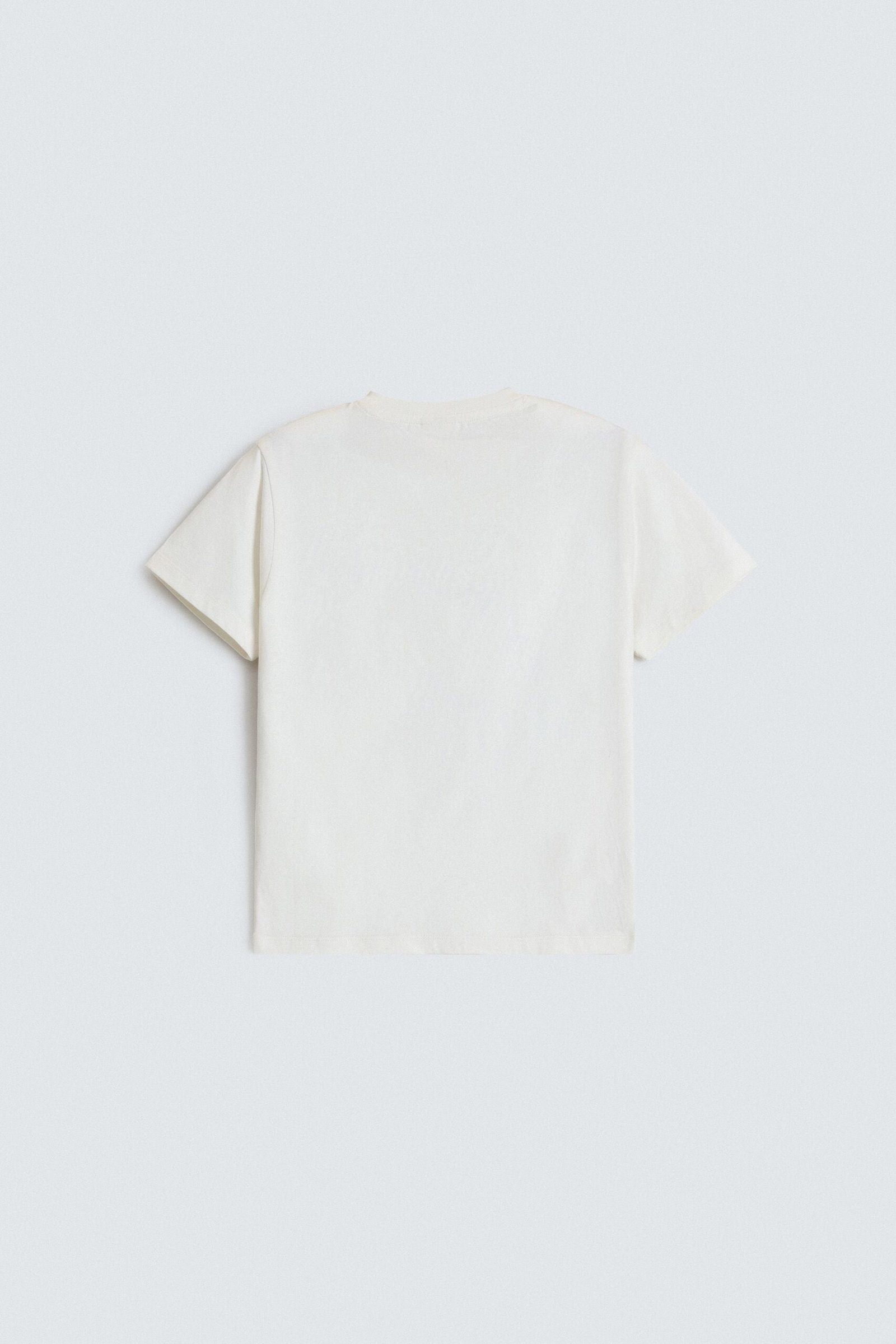 Graphic T-Shirt - Image 3