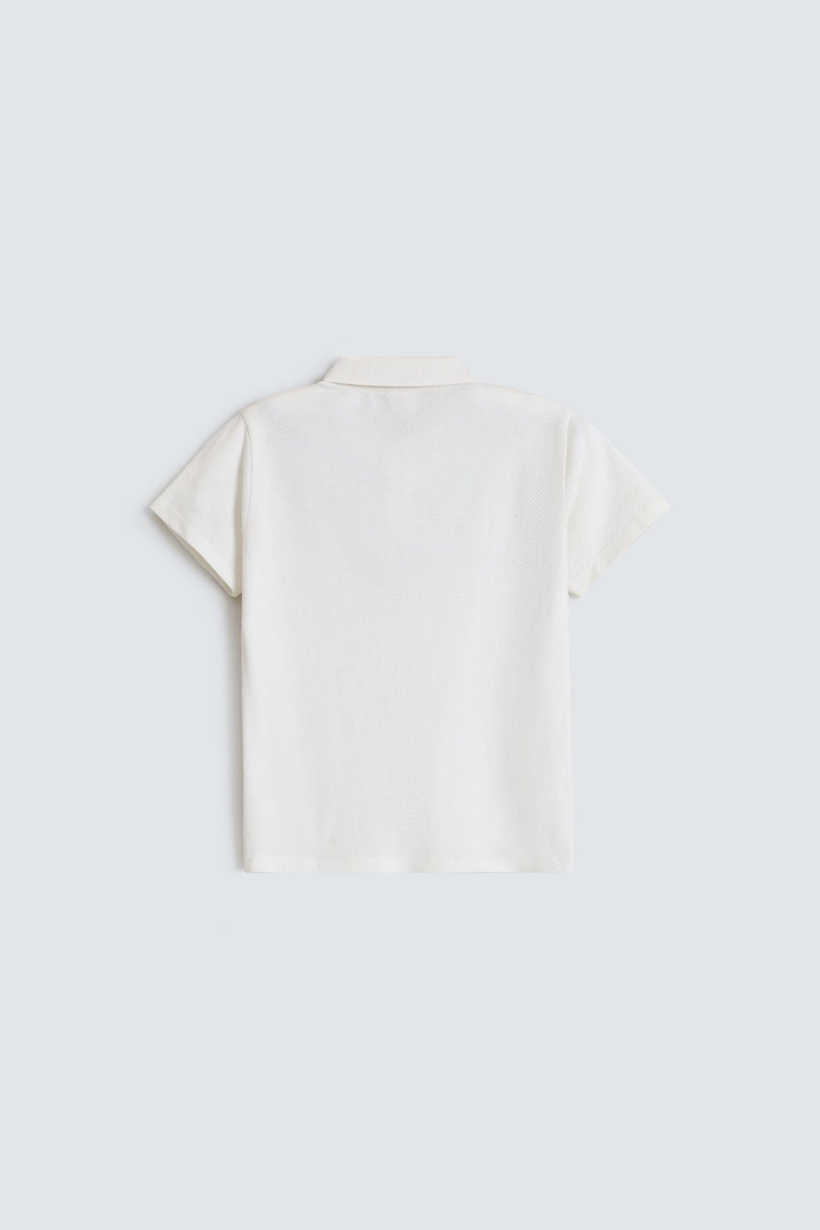 Textured Embroidered Polo Shirt - Image 3