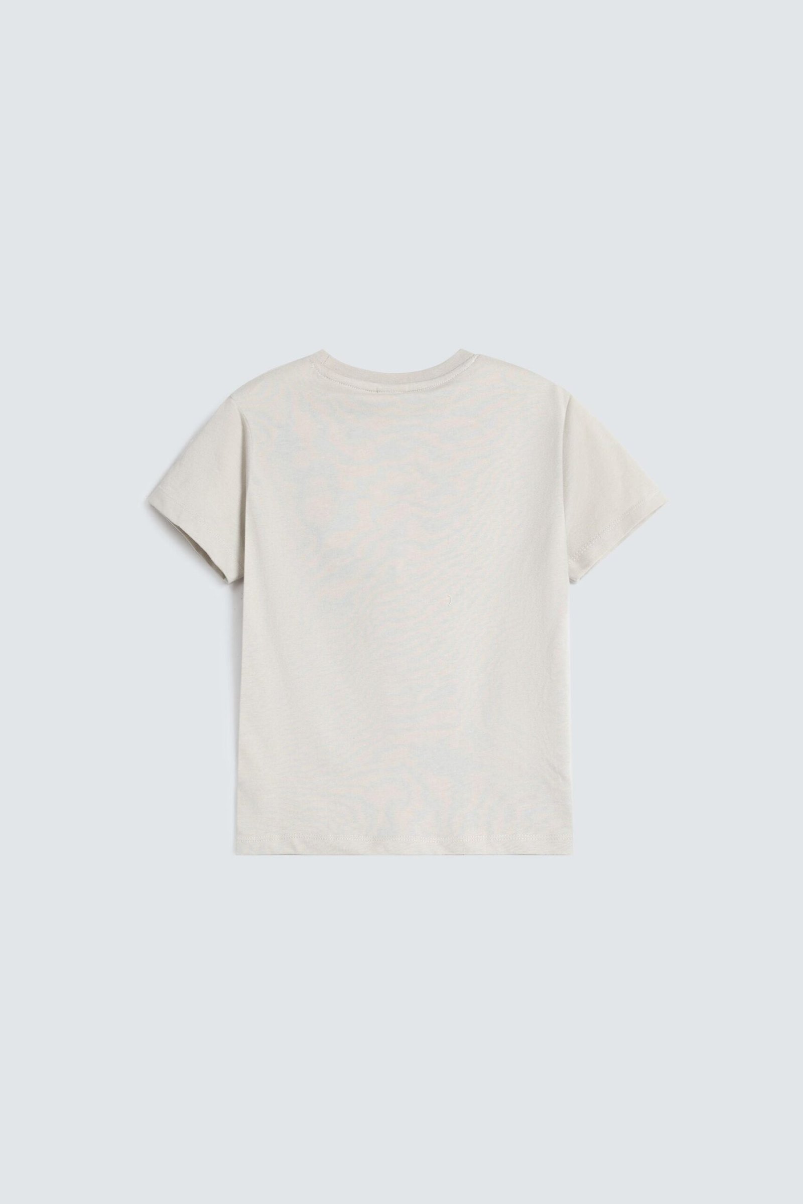 Graphic T-Shirt - Image 3