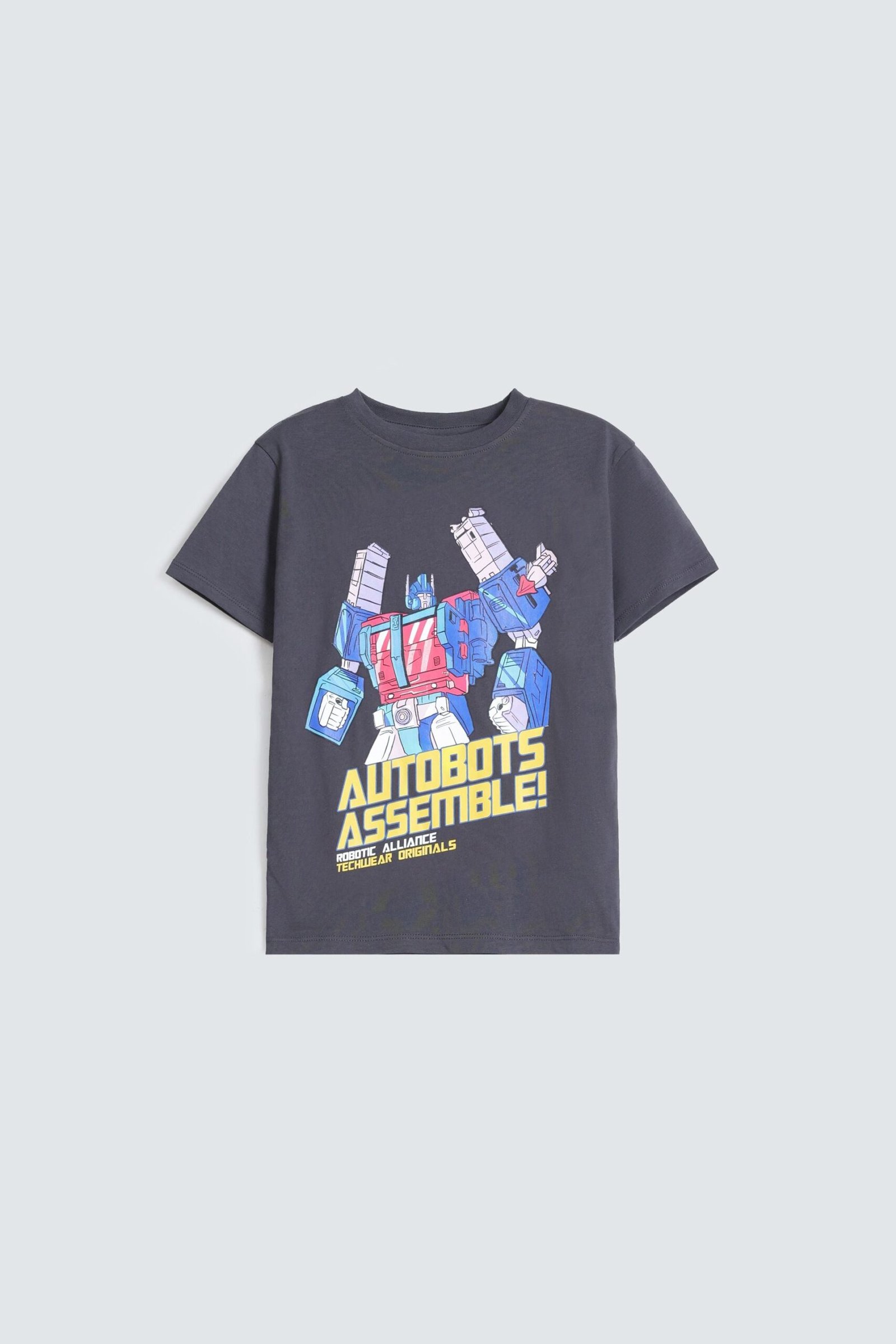 Graphic T-Shirt
