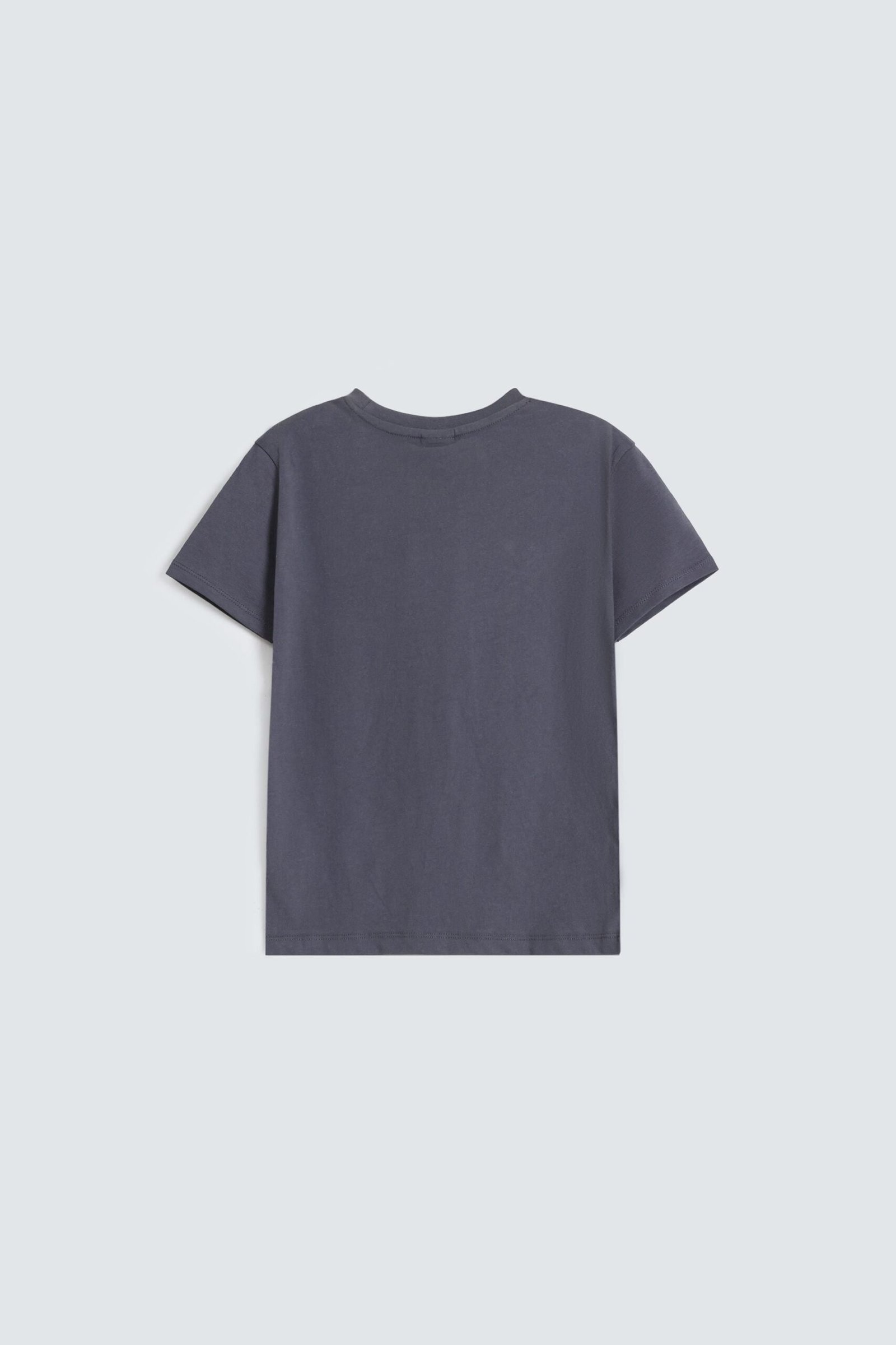 Graphic T-Shirt - Image 3