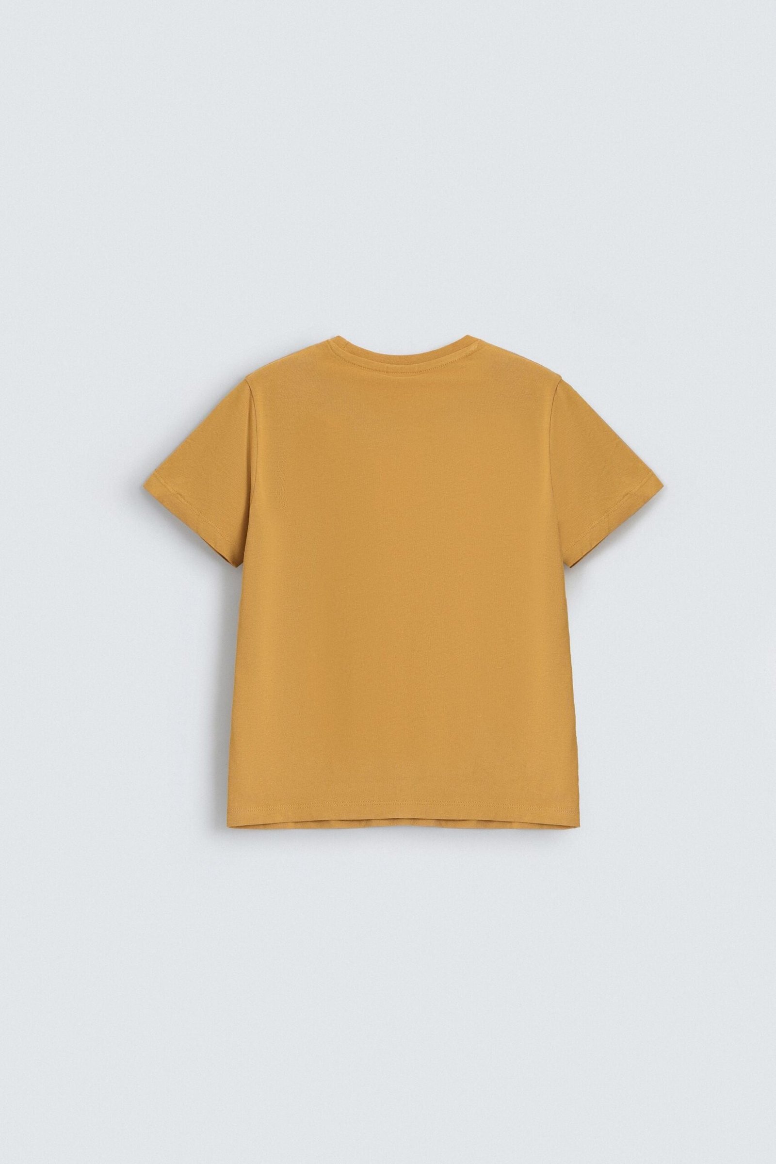 Sea-Life Graphic T-Shirt - Image 3