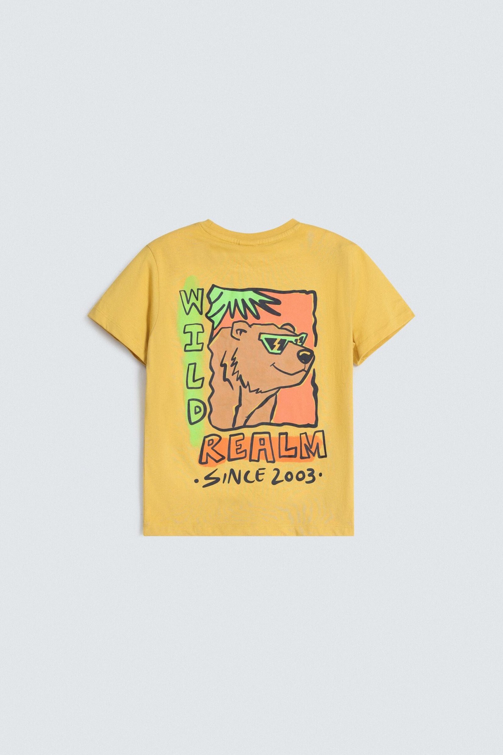 Graphic T-Shirt - Image 3