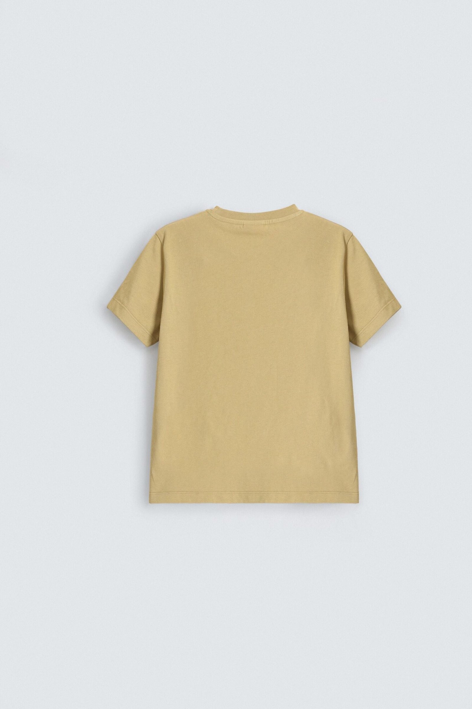Graphic T-Shirt - Image 3