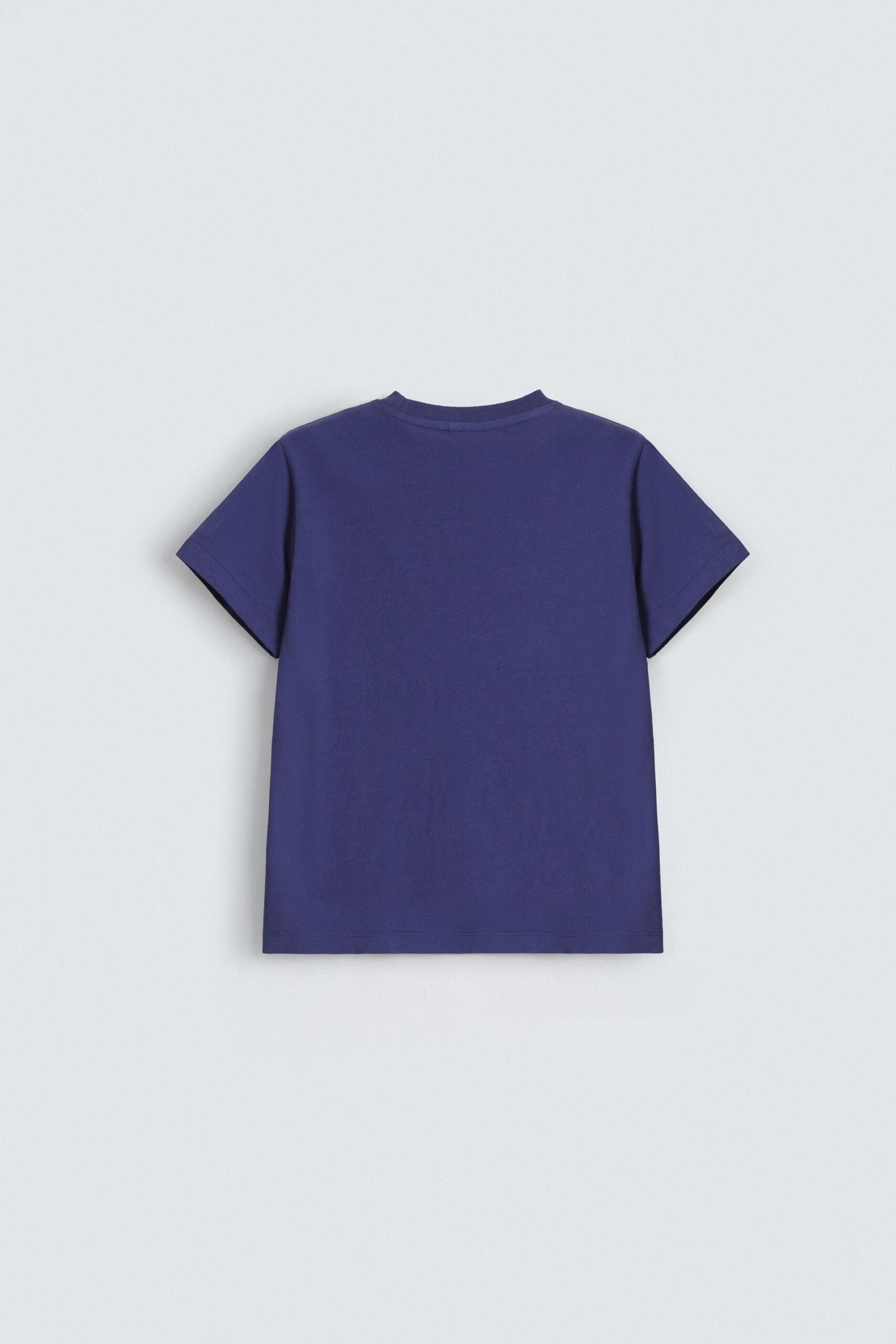 Graphic T-Shirt - Image 3