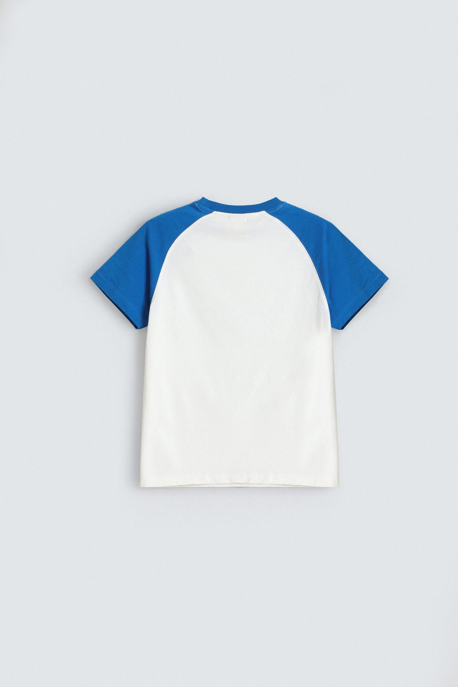 Color Block Raglan T-Shirt - Image 3