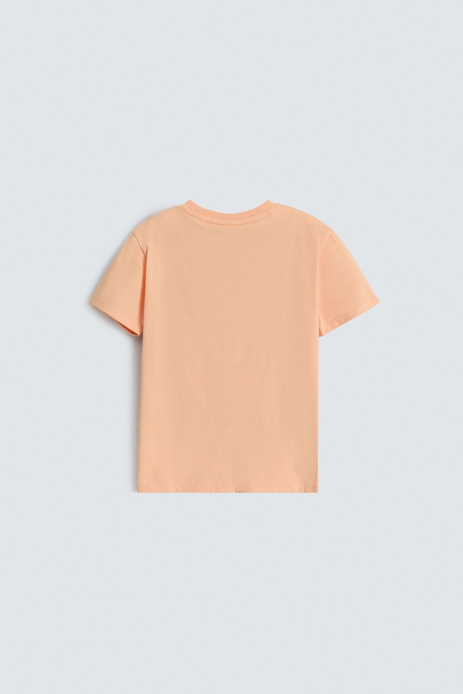 Graphic T-Shirt - Image 3