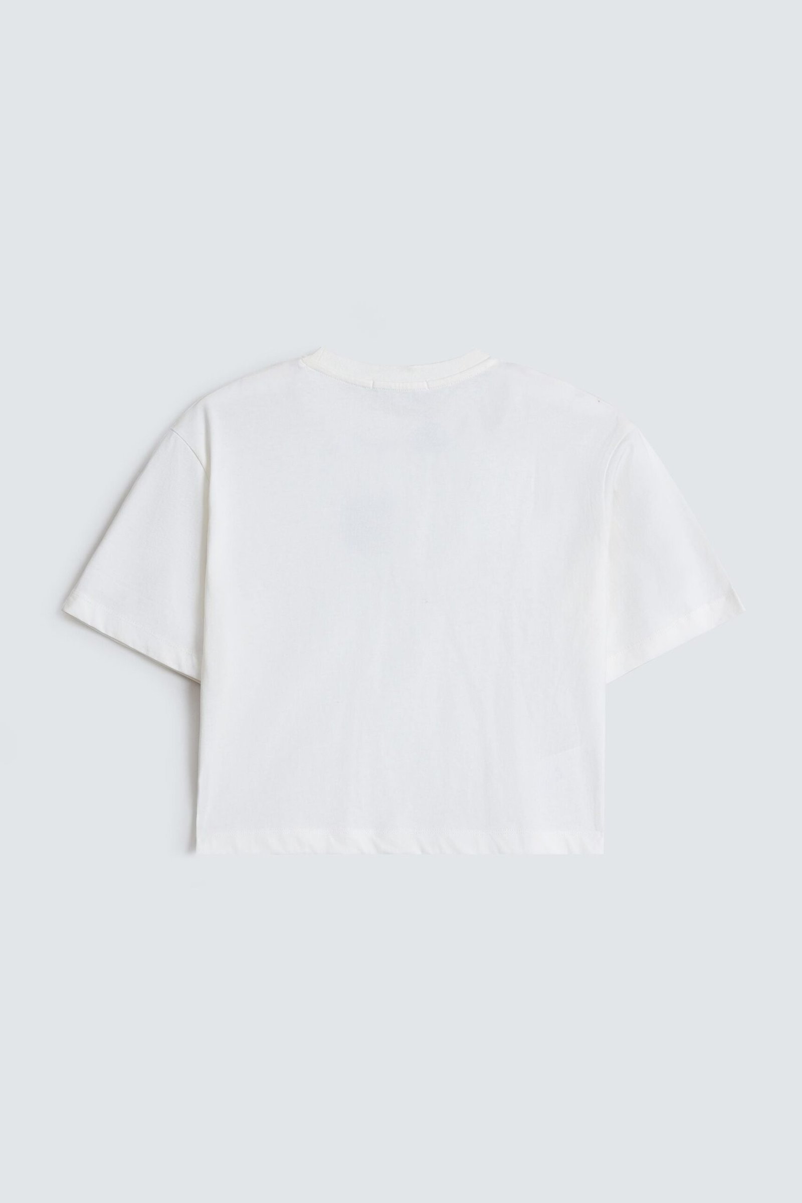 Cropped Embroidered T-Shirt - Image 7