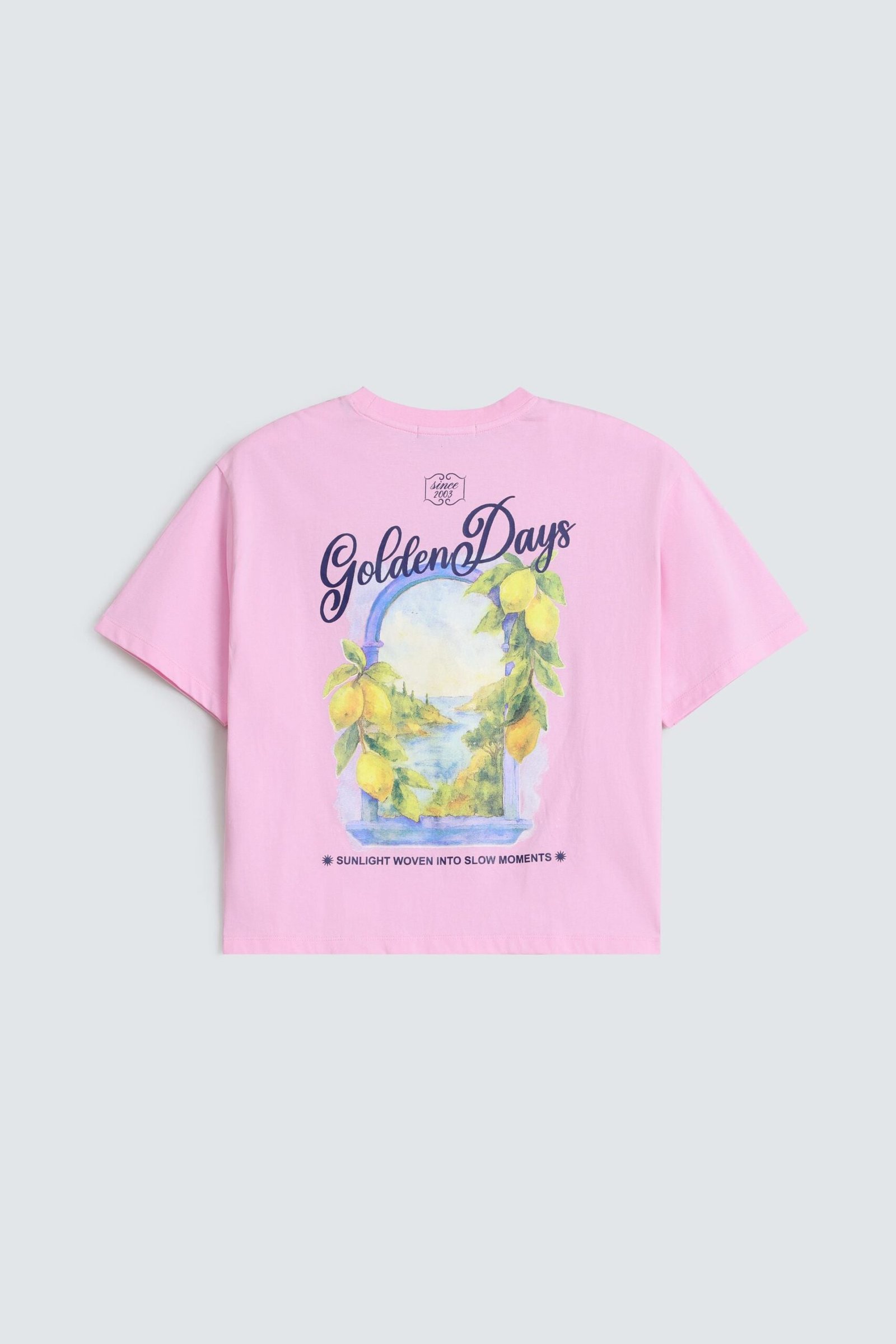 Embroidered T-Shirt - Image 7
