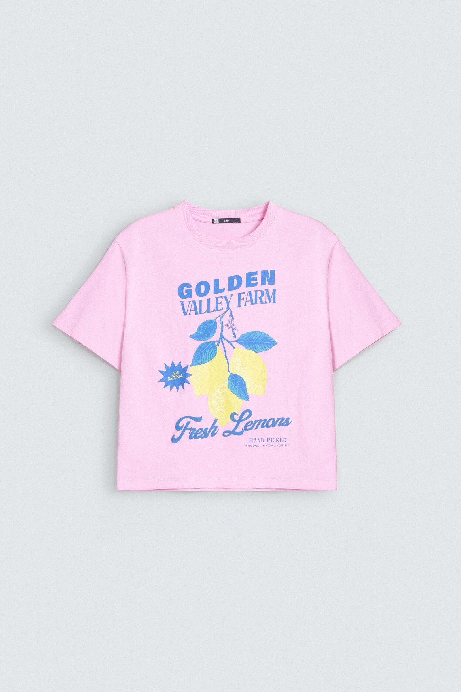 Graphic T-Shirt - Image 5