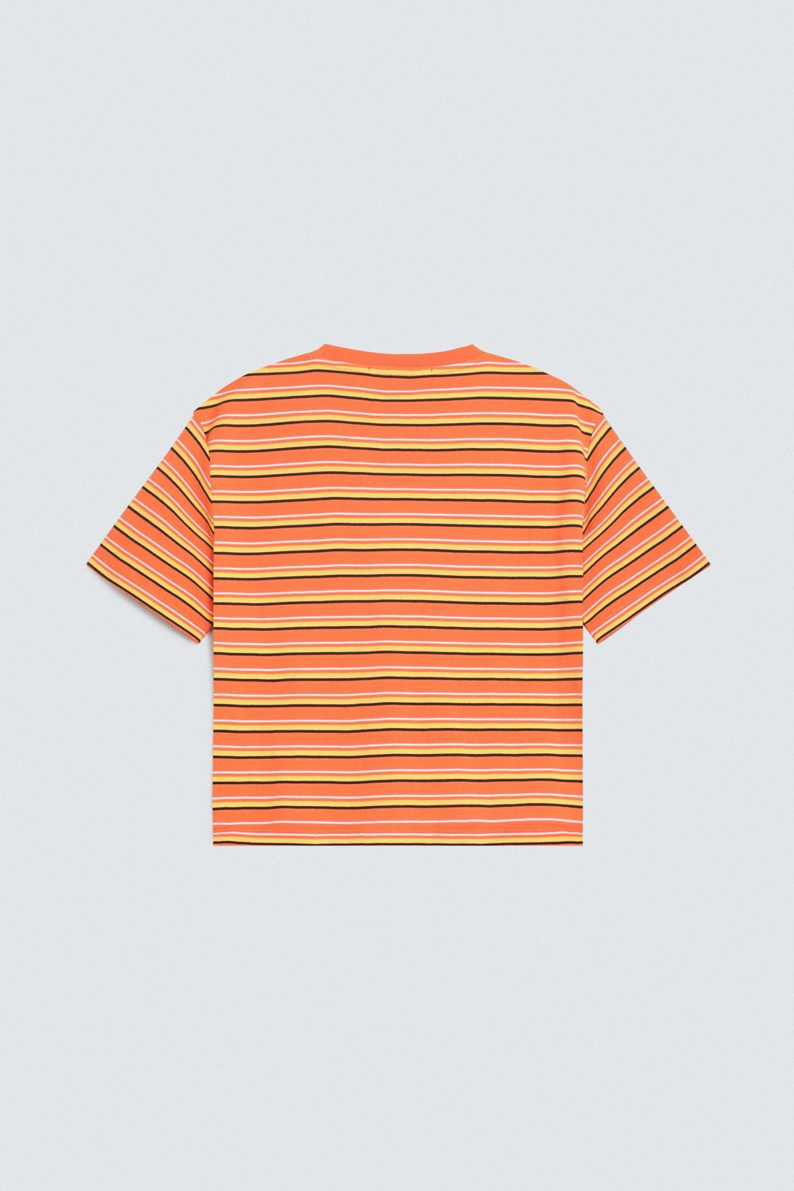Cropped Stripped T-Shirt - Image 7