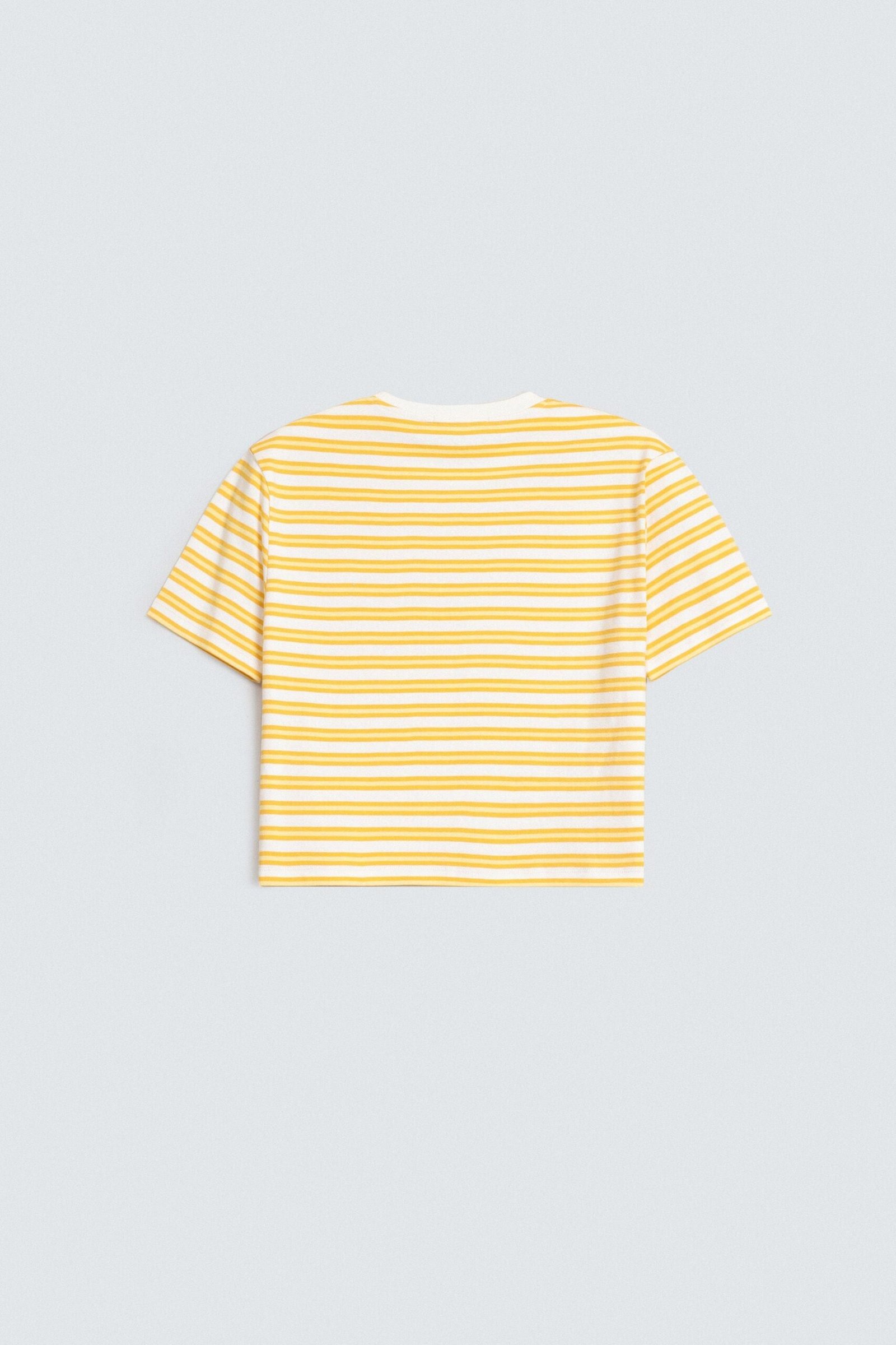 Cropped Striped T-Shirt - Image 7