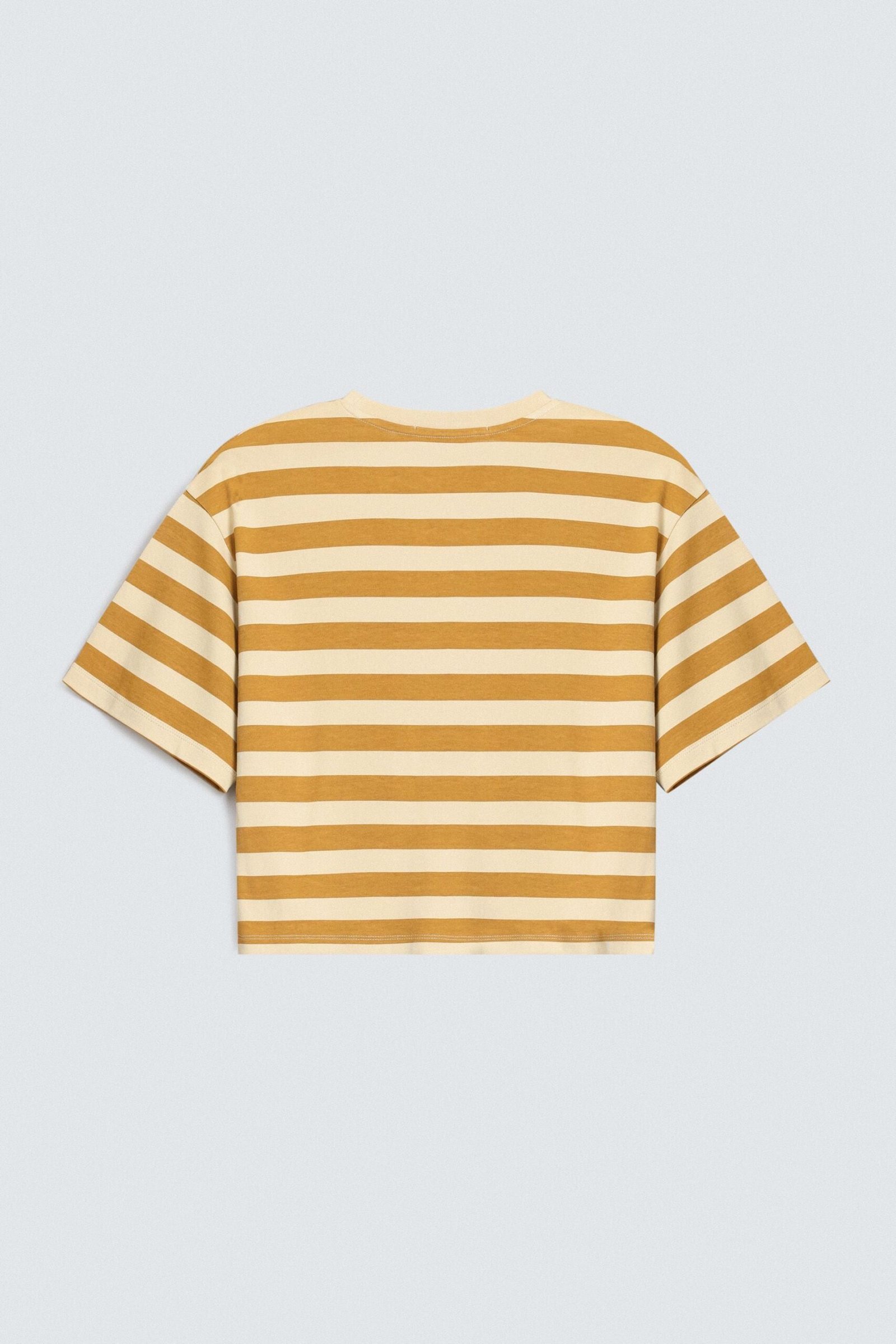 Cropped Striped T-Shirt - Image 7