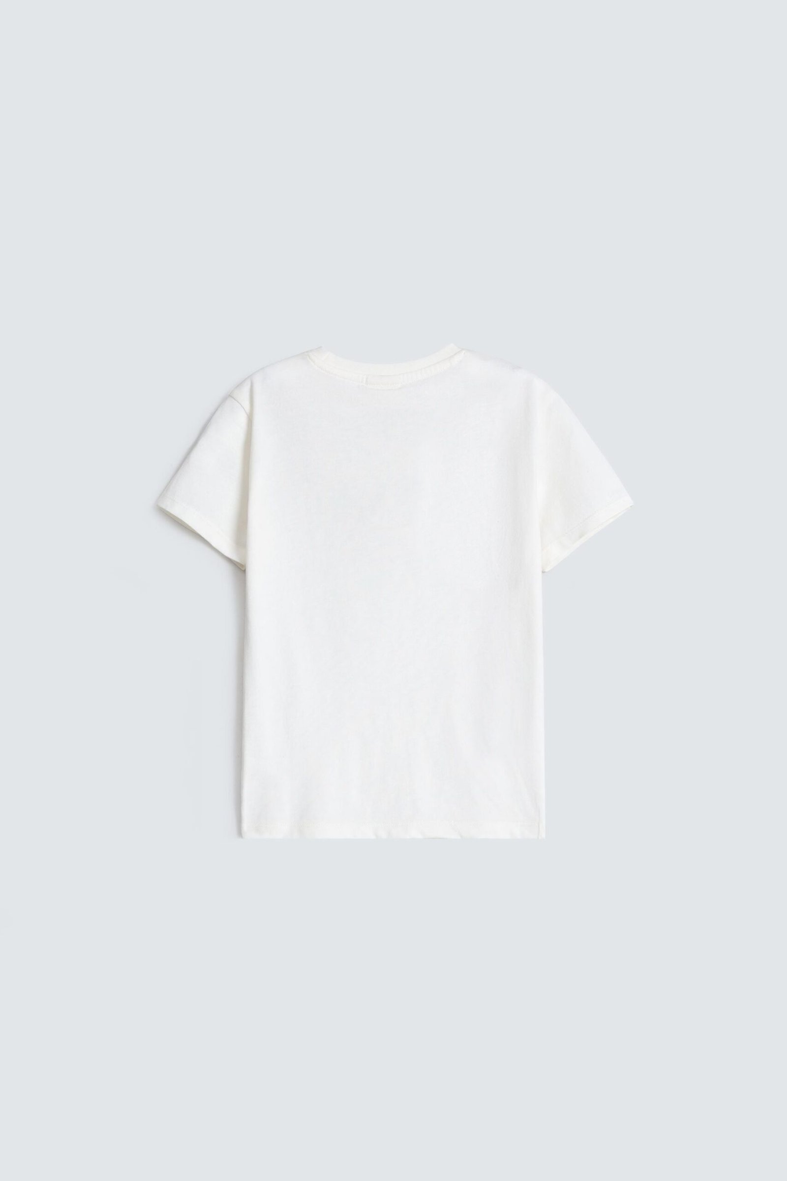 Graphic T-Shirt - Image 3